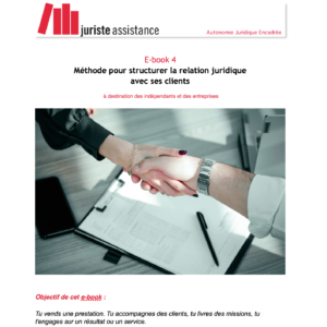 E-books 4 - Structurer la relation client